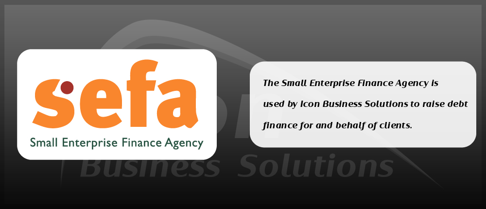 Small Enterprise Finance Agency